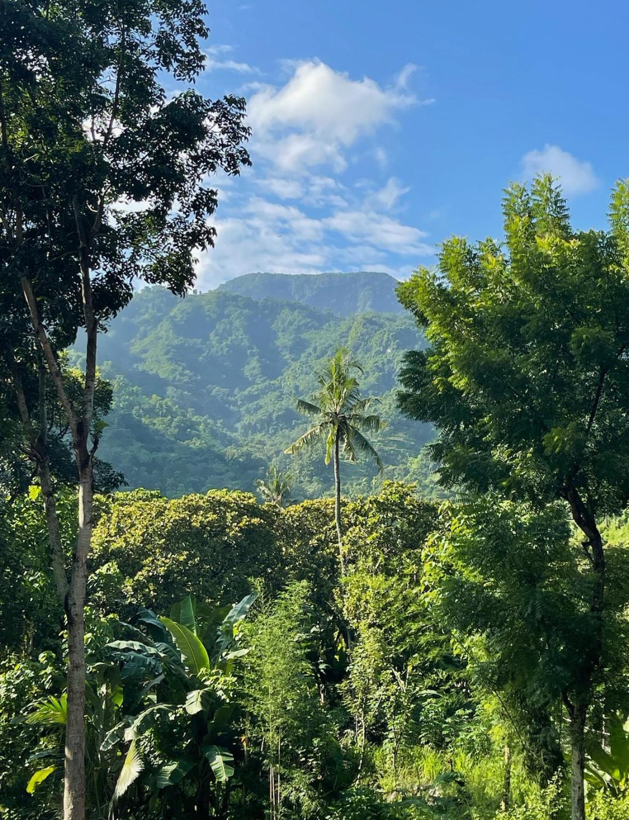 Tropical Habitat Bali Villa Amed  Bagian luar foto