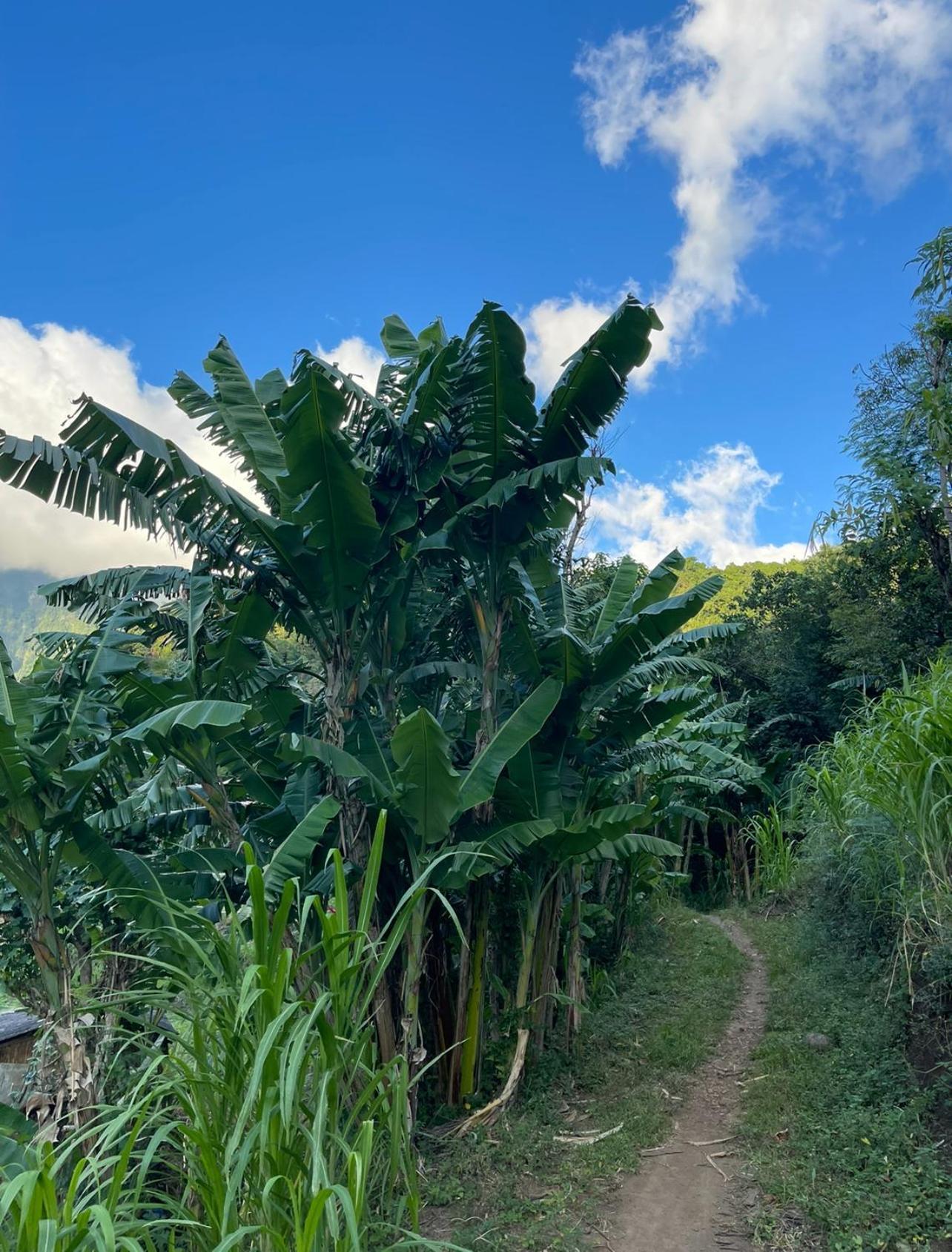 Tropical Habitat Bali Villa Amed  Bagian luar foto