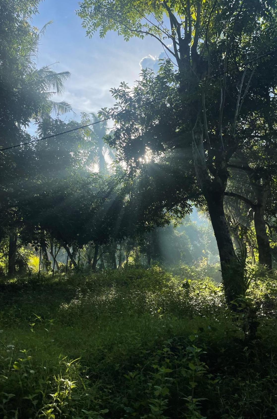 Tropical Habitat Bali Villa Amed  Bagian luar foto