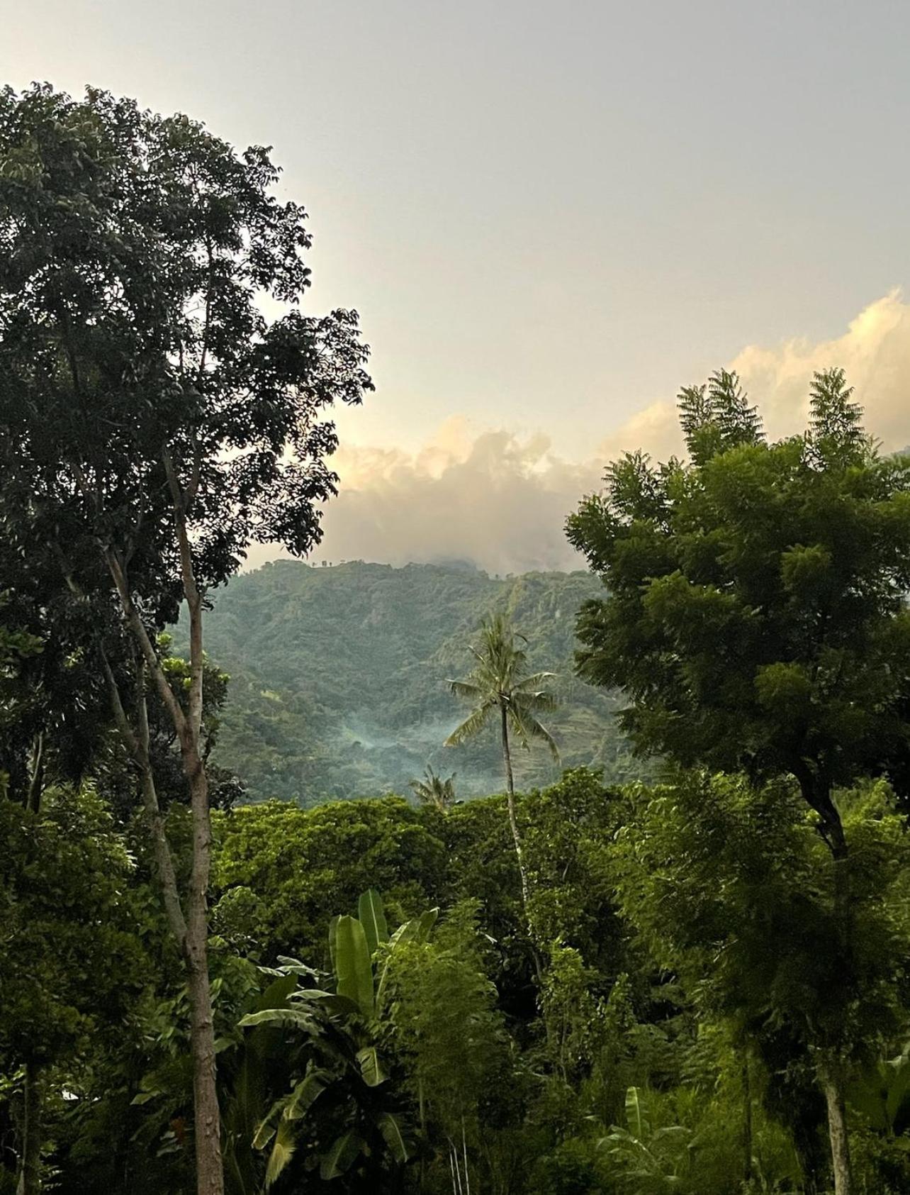 Tropical Habitat Bali Villa Amed  Bagian luar foto