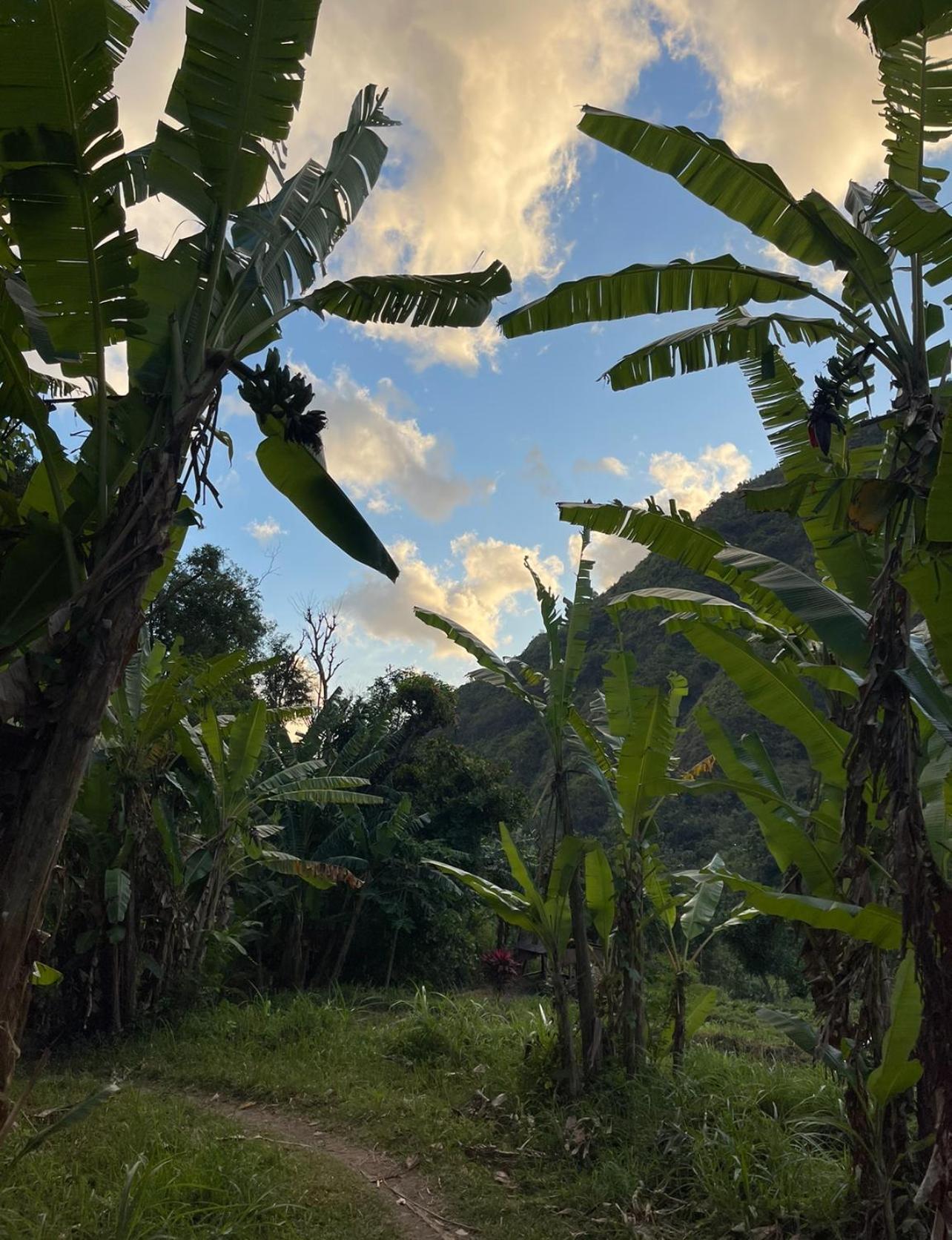Tropical Habitat Bali Villa Amed  Bagian luar foto