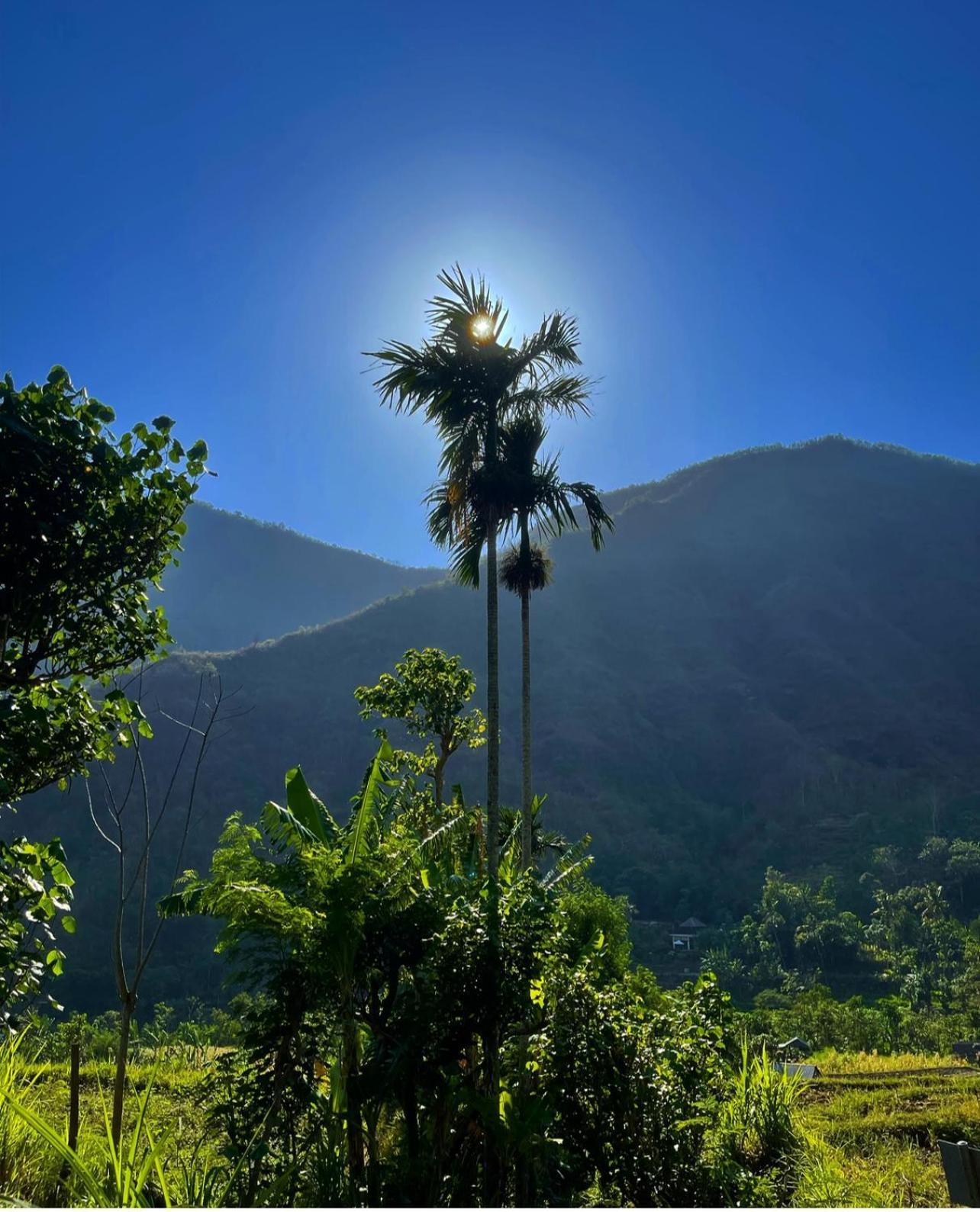 Tropical Habitat Bali Villa Amed  Bagian luar foto