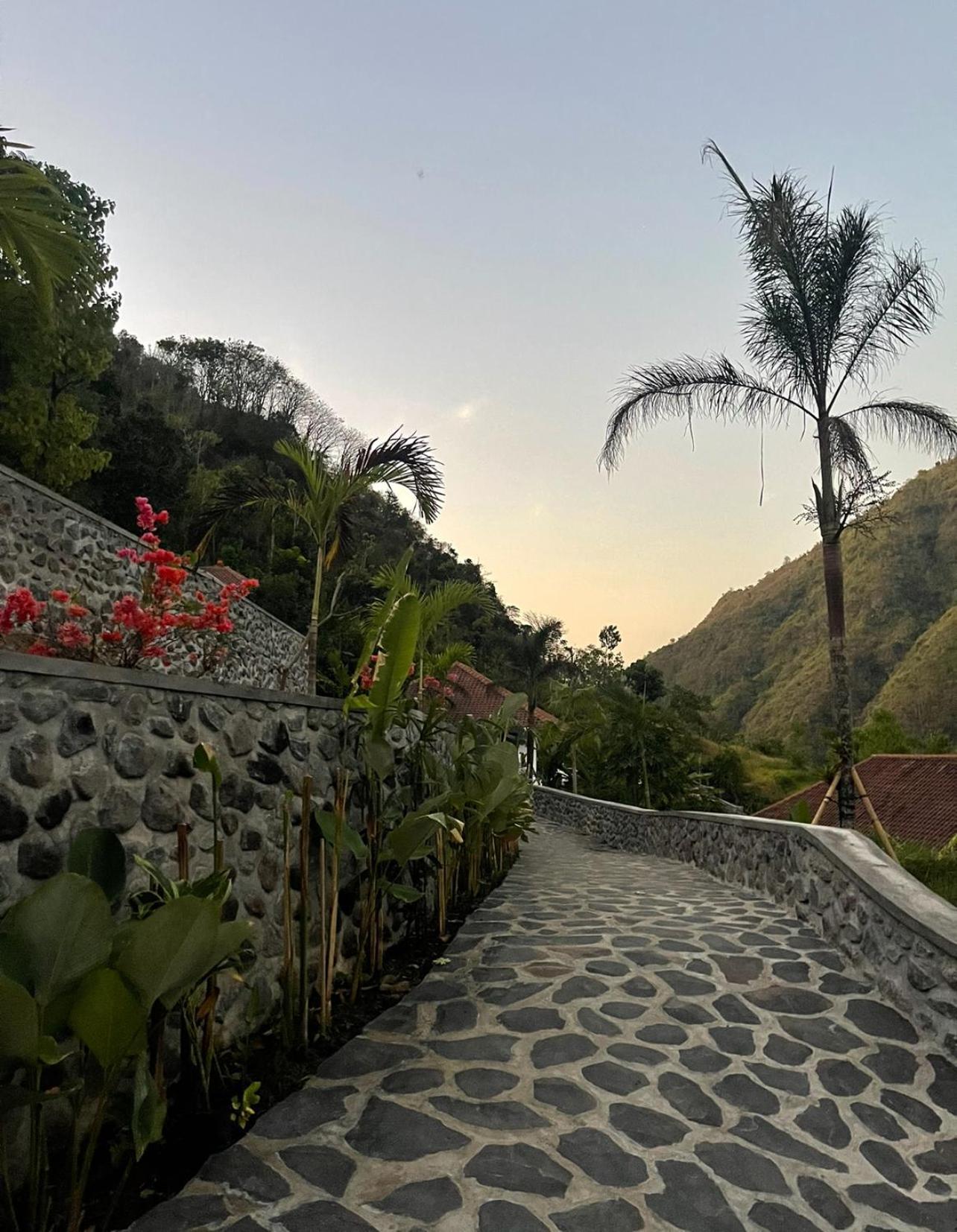 Tropical Habitat Bali Villa Amed  Bagian luar foto