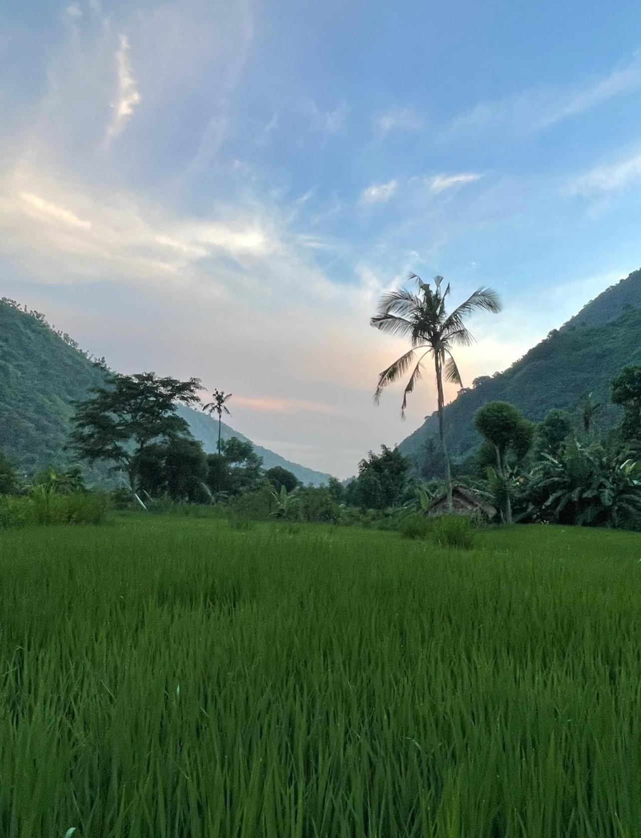 Tropical Habitat Bali Villa Amed  Bagian luar foto